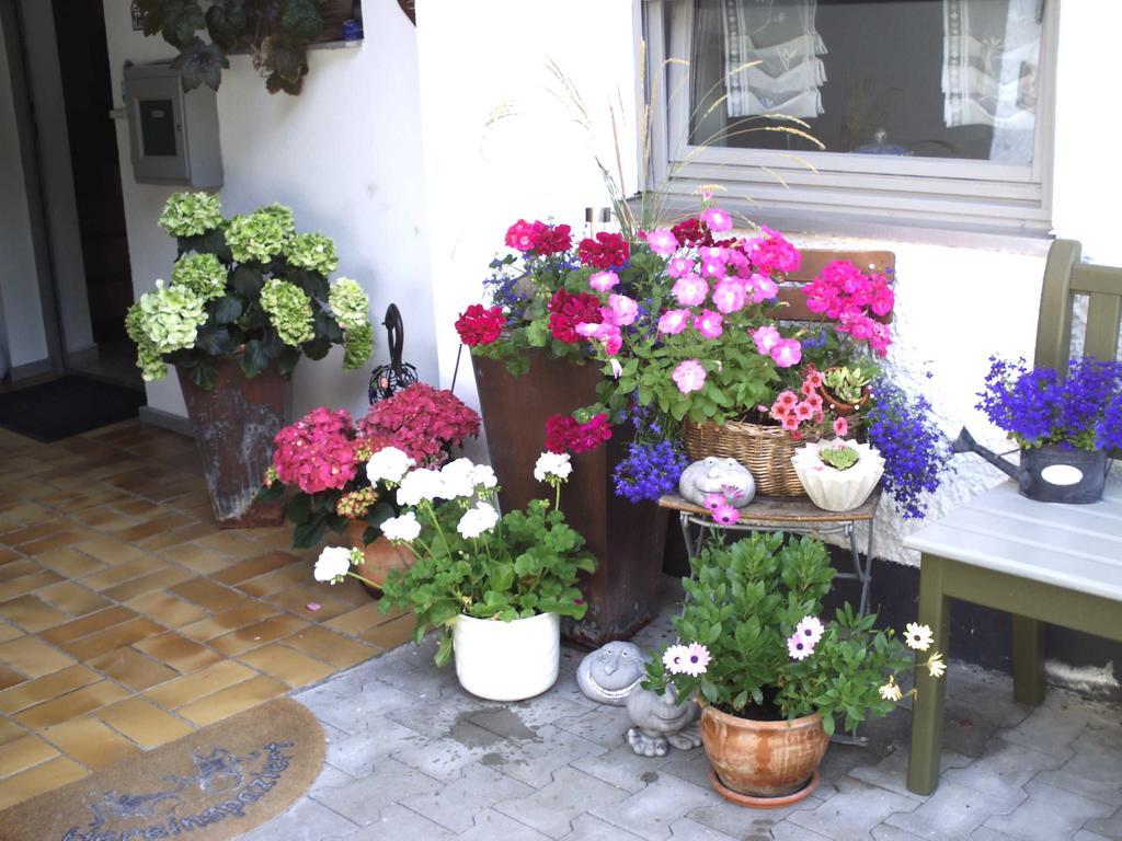 Ferienhaus Absmeier 巴特格里斯巴赫 客房 照片